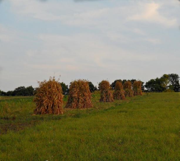 Козарівка з panoramio.com - Козарівка