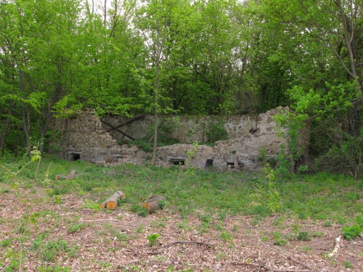 Степашки з panoramio.com - Степашки