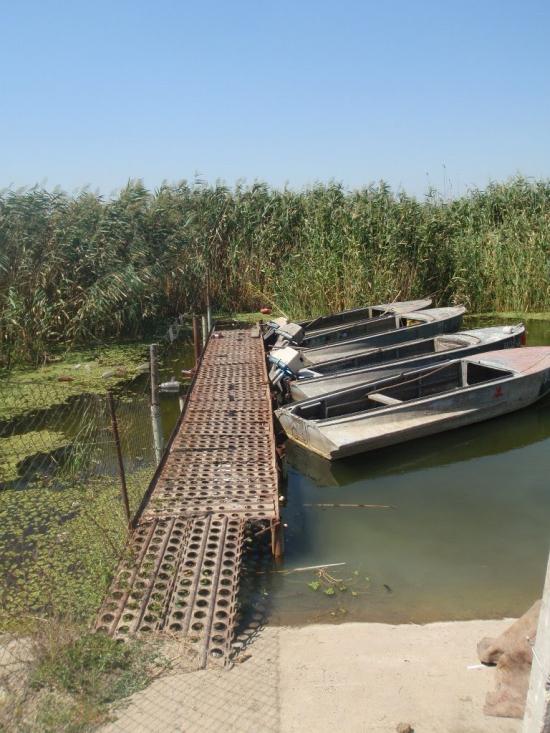 Градениці з panoramio.com - Градениці