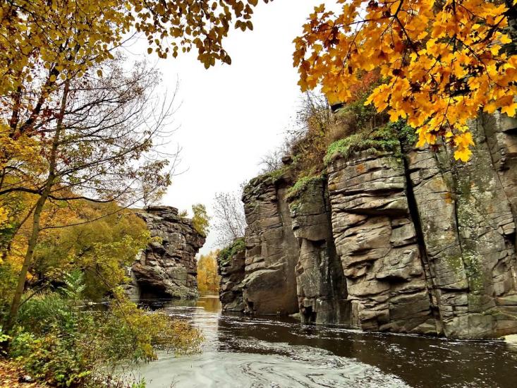 Буки з panoramio.com - Буки