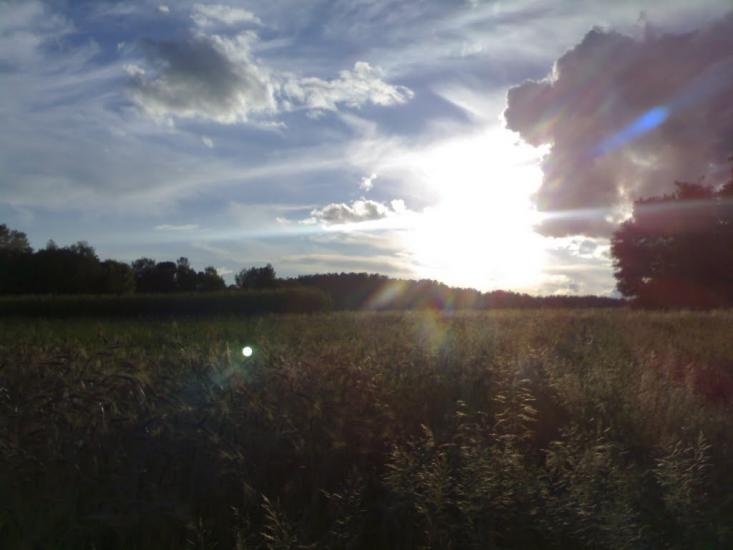 Об'єднане з panoramio.com - Об'єднане