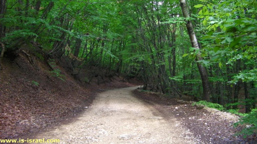 Багата Ущелина з panoramio.com - Bagata Uschelyna