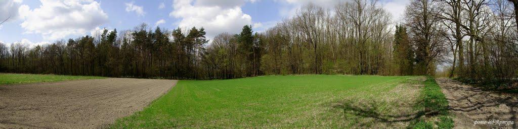 Звози з panoramio.com - Звозы
