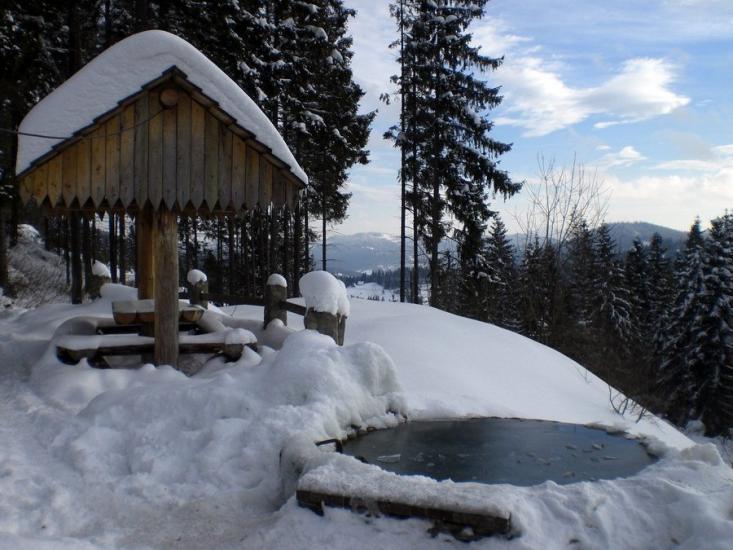 Сухий Потік з panoramio.com - Сухий Потік