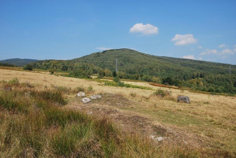 Ільниця з panoramio.com - Ільниця