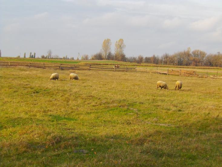 Підріжжя з panoramio.com - Подрожье
