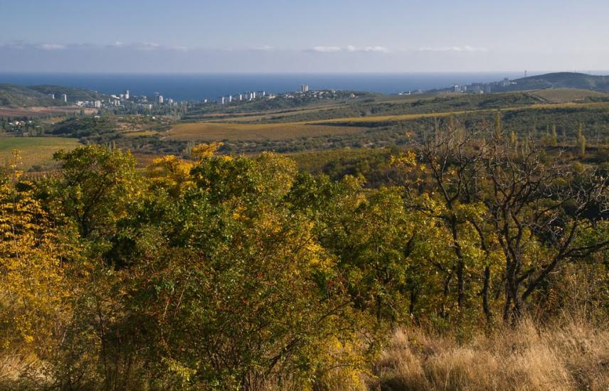 Ізобільне з panoramio.com - Izobilne