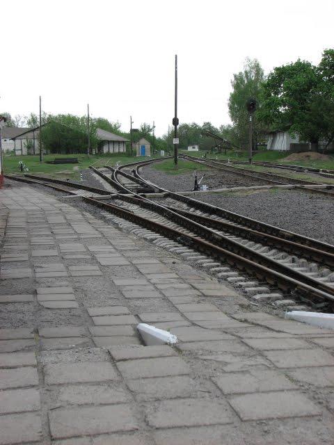 Вища Кропивна з panoramio.com - Высшая Кропивна