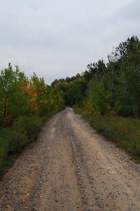 Левківка з panoramio.com - Левківка
