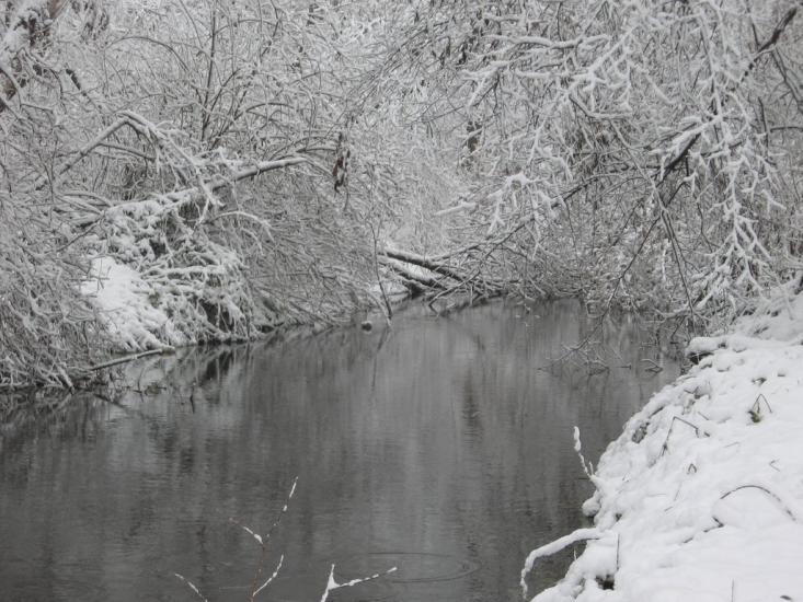 Борзна з panoramio.com - Борзна
