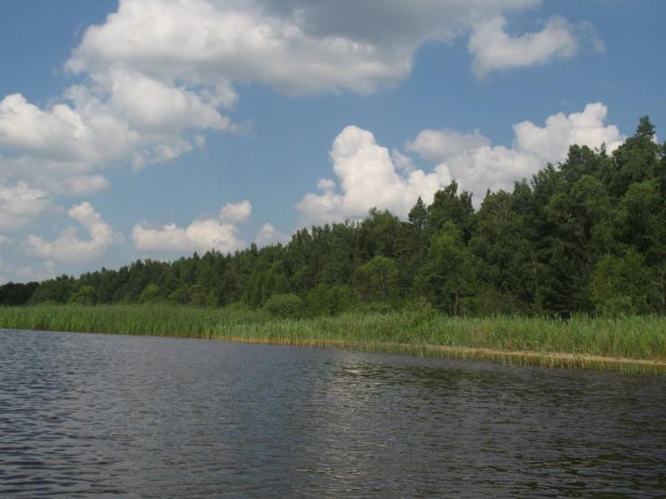 Невір з panoramio.com - Невір