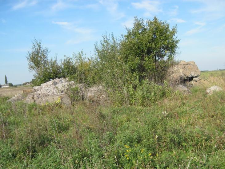 Тихе з panoramio.com - Тихе