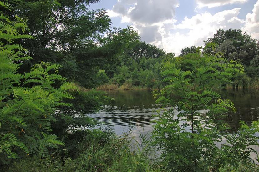Іскра з panoramio.com - Искра