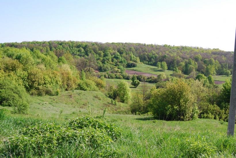 Безруки з panoramio.com - Безруки