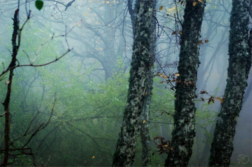Громівка з panoramio.com - Громівка