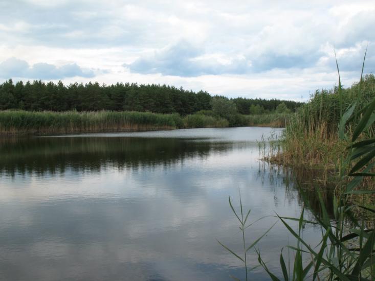 Білецьківка з panoramio.com - Белецковка