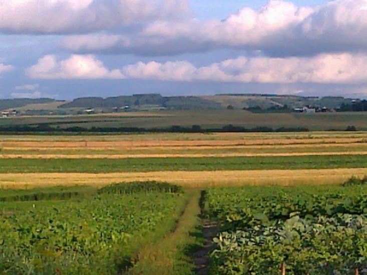 Сатиїв з panoramio.com - Satyyiv