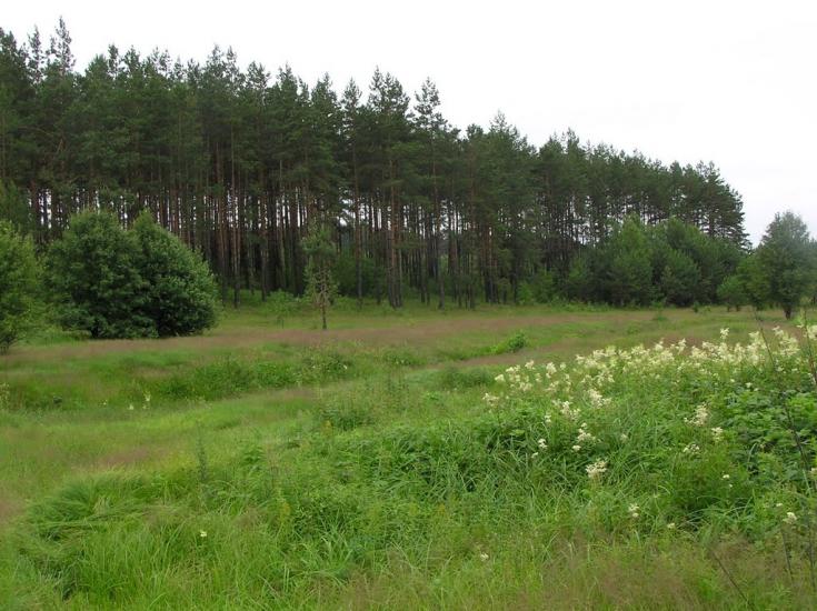 Горщик з panoramio.com - Горщик