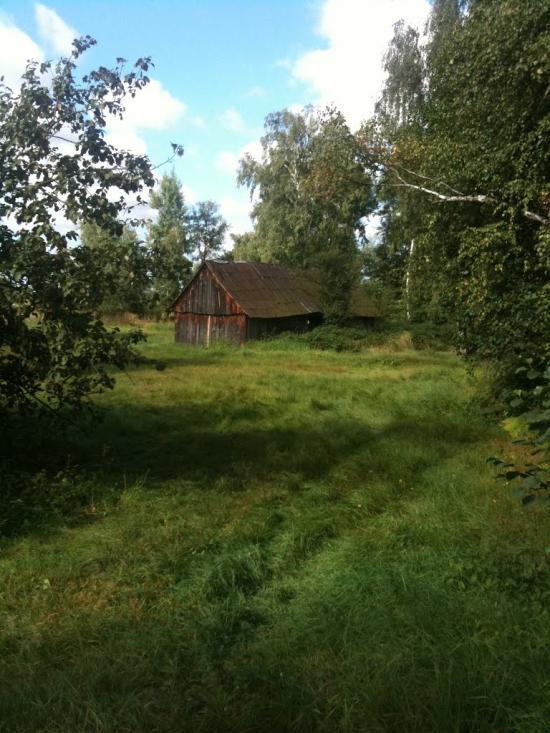 Волиця з panoramio.com - Волиця