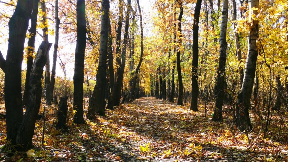 Піски з panoramio.com - Пески