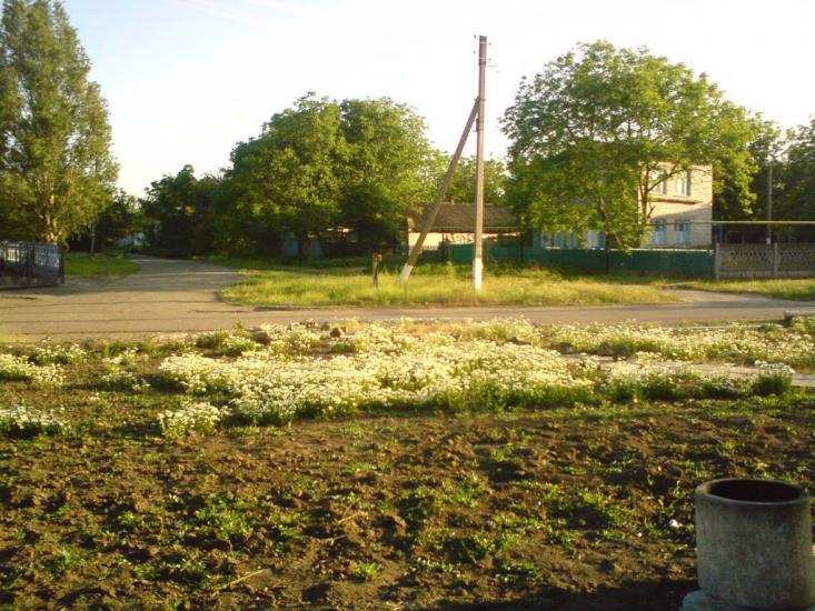 Коробки з panoramio.com - Коробки