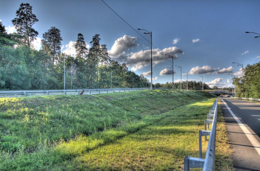 Проліски з panoramio.com - Проліски