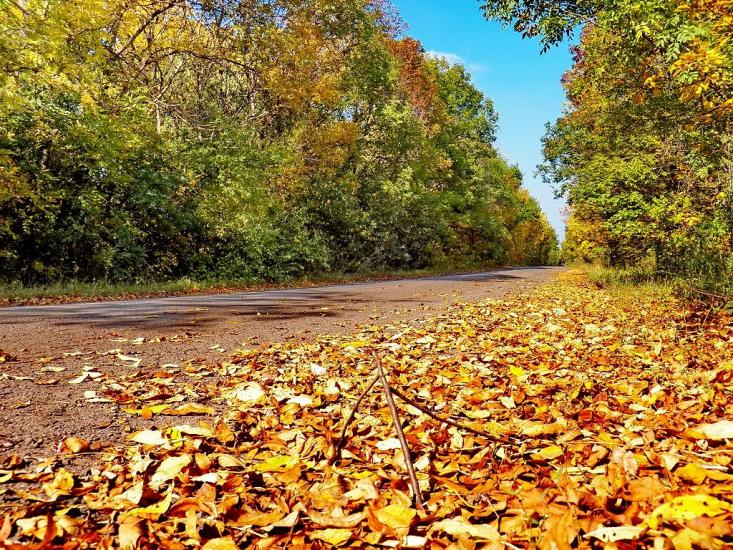 Кринична з panoramio.com - Кринична