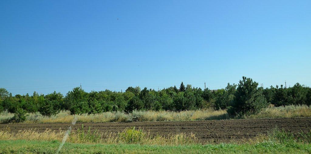 Приморськ з panoramio.com - Приморск
