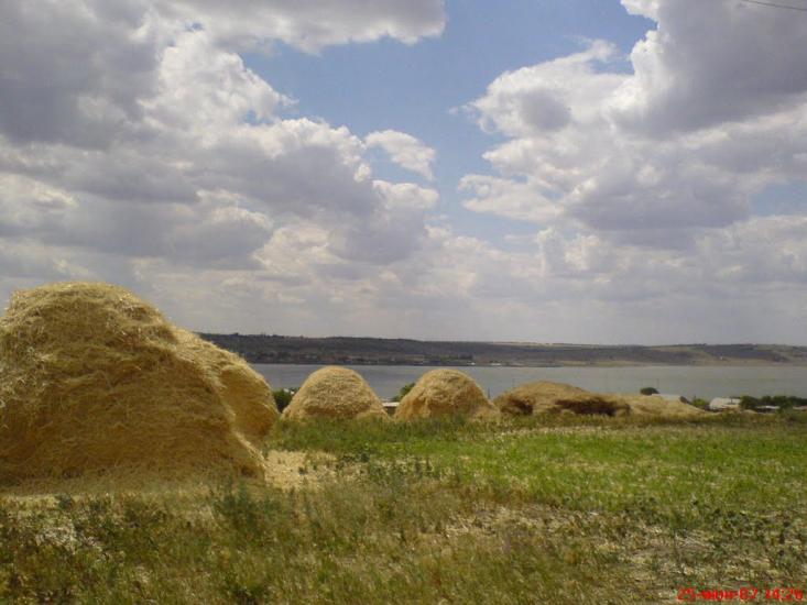 Жовте з panoramio.com - Жовте