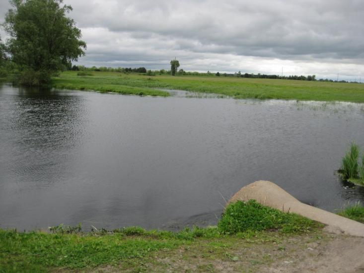 Бабарики з panoramio.com - Бабарики