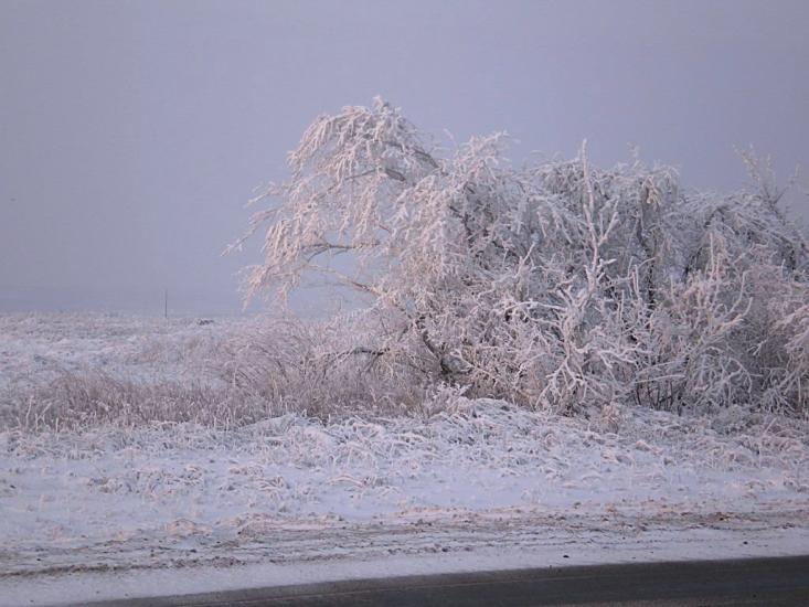 Маломиколаївка з panoramio.com - Malomykolayivka