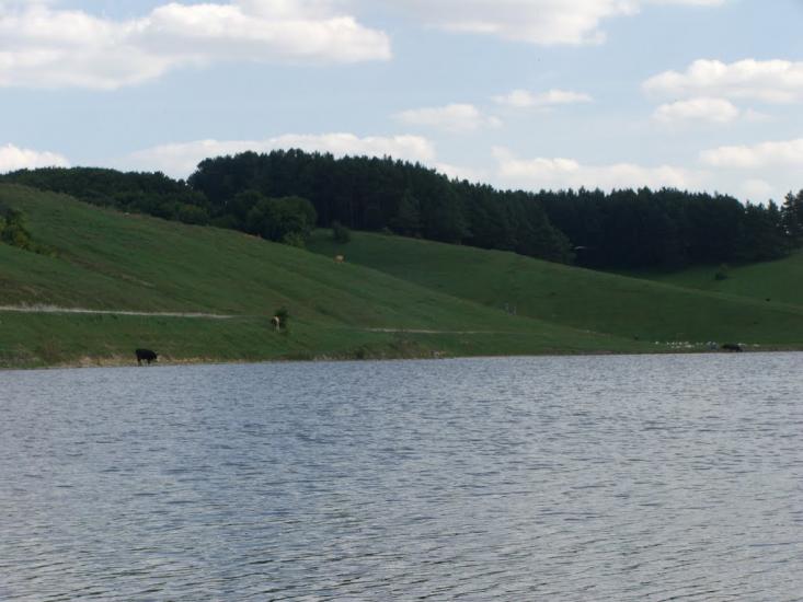 Лисогірка з panoramio.com - Лысогорка