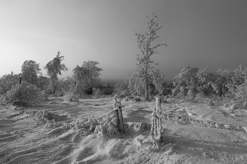 Красне з panoramio.com - Красне