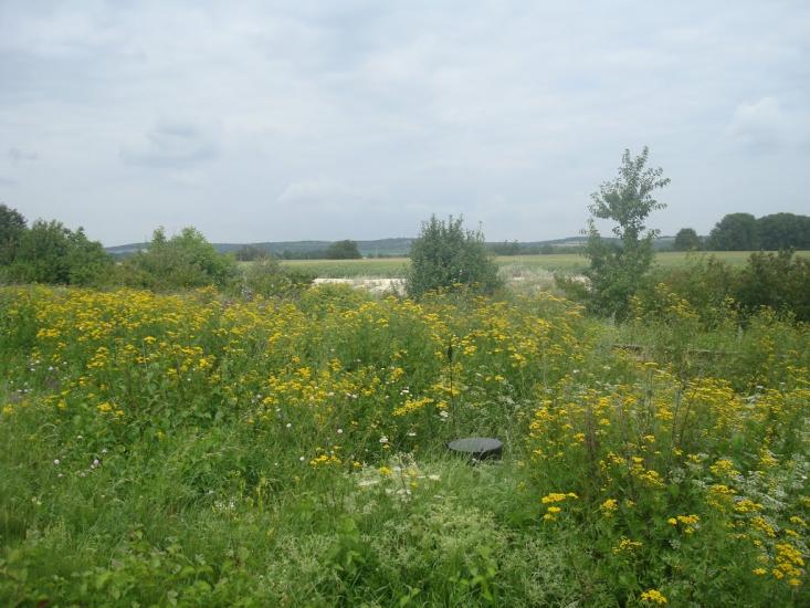 Гуменці з panoramio.com - Гуменцы