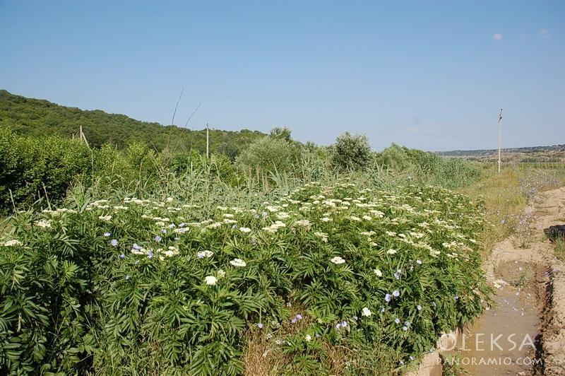 Долинне з panoramio.com - Долинне