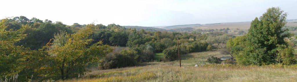 Водяники з panoramio.com - Водяники
