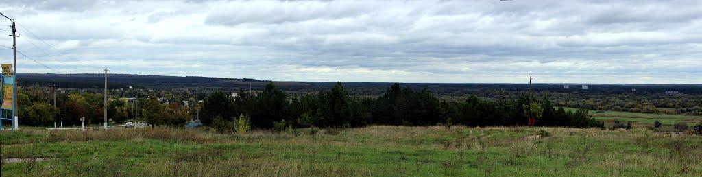 Дворічна з panoramio.com - Двуречная