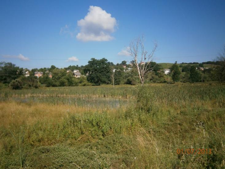 Розділ з panoramio.com - Роздол