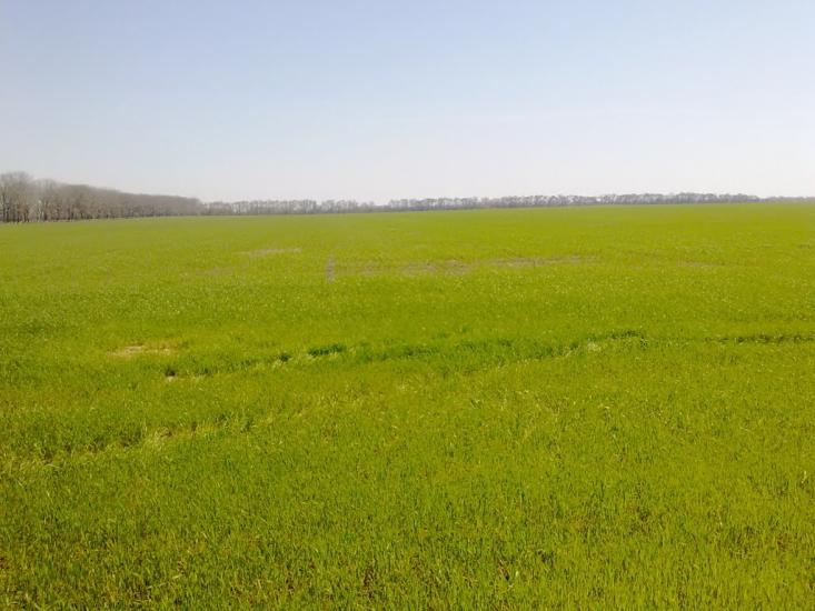 Сущани з panoramio.com - Сущани