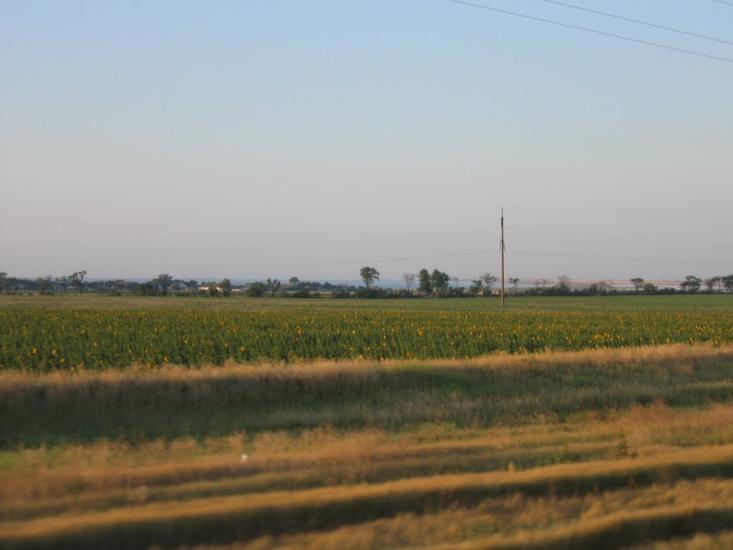 Новоолексіївка з panoramio.com - Новоолексіївка