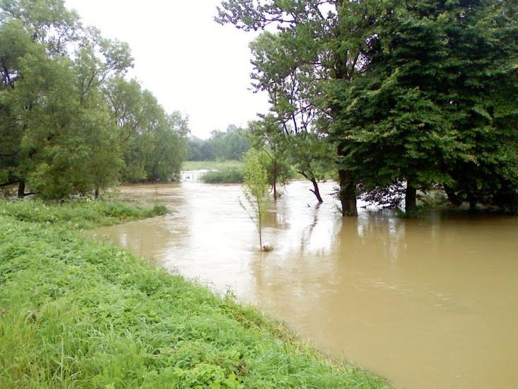 Негівці з panoramio.com - Негівці