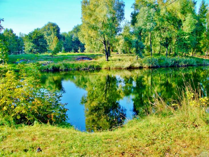 Димер з panoramio.com - Dymer