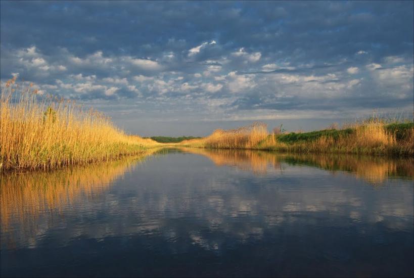 Панасівка з panoramio.com - Панасівка