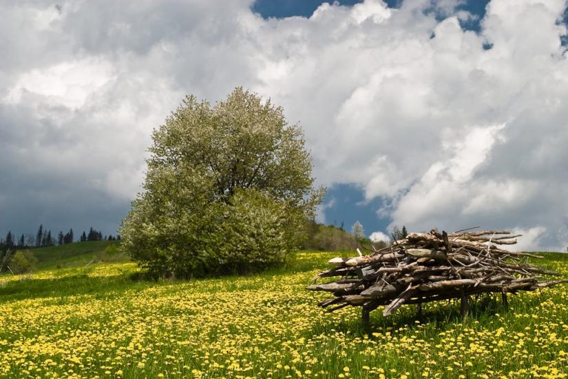 Козьова з panoramio.com - Козева