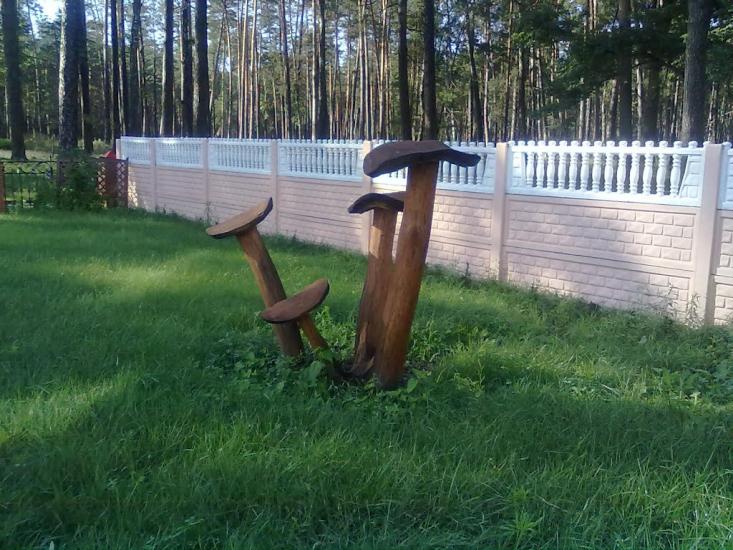 Корюківка з panoramio.com - Корюковка