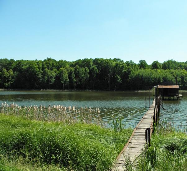 Польова з panoramio.com - Полевая