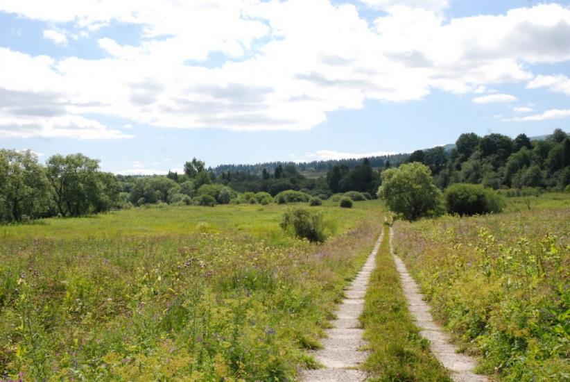 Шандровець з panoramio.com - Шандровець