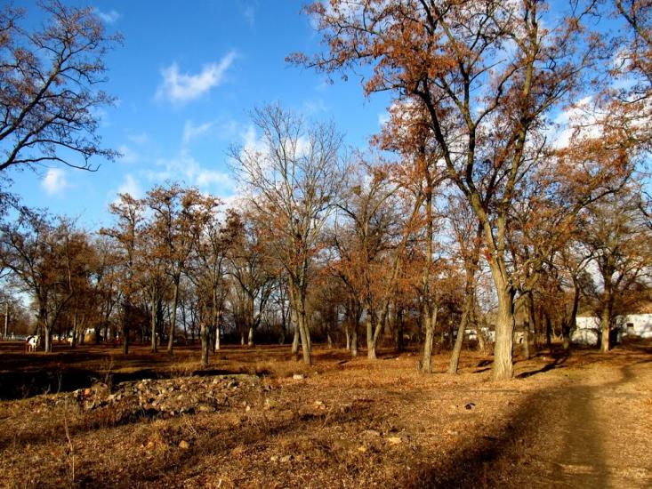 Степове з panoramio.com - Степовое