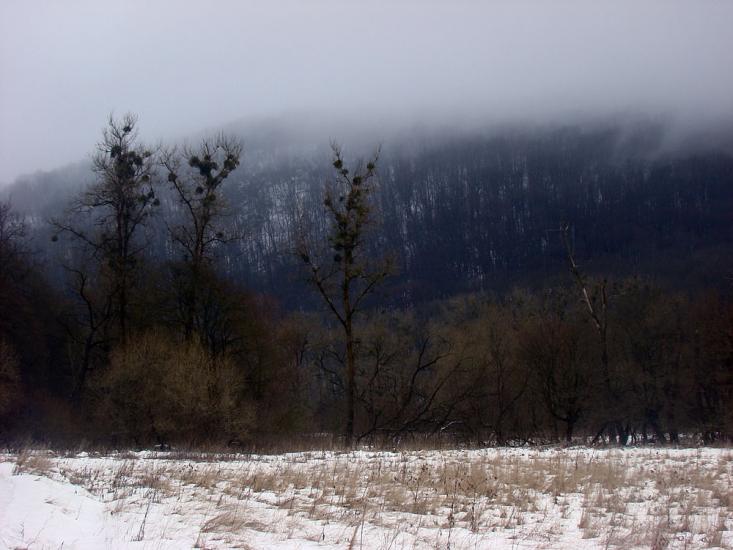 Іванківці з panoramio.com - Іванківці