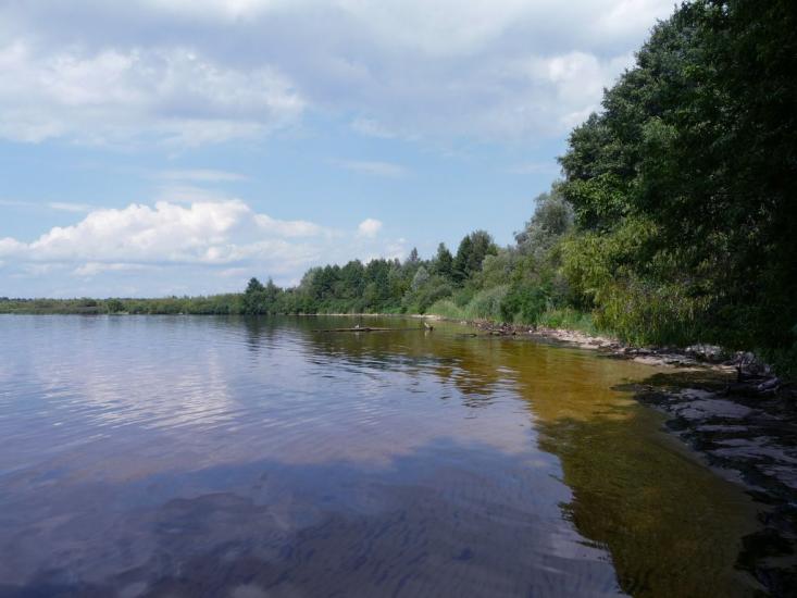 Ровжі з panoramio.com - Ровжи